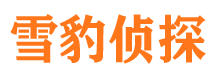 亚东寻人公司